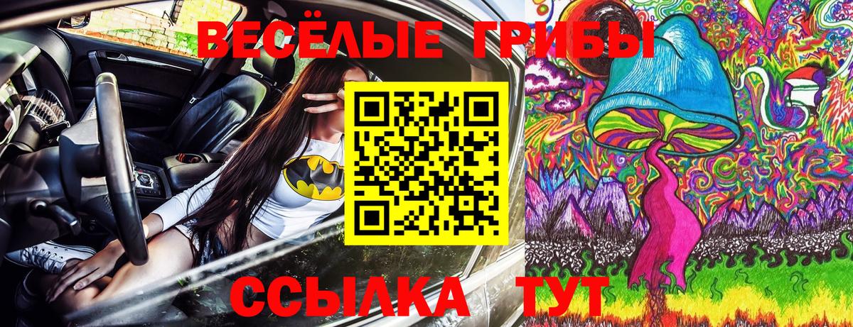 Галлюциногенные грибы ЛСД  Вход с VPN  Галлюциногенные грибы GOLDEN TEACHER  Дедовск 